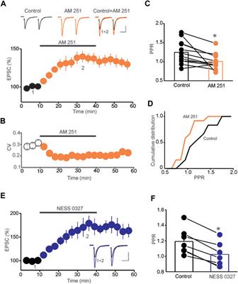 Tonic <mark class="highlighted">Endocannabinoid Signaling</mark> Gates Synaptic Plasticity in Dorsal Raphe Nucleus Serotonin Neurons Through Peroxisome Proliferator-Activated Receptors